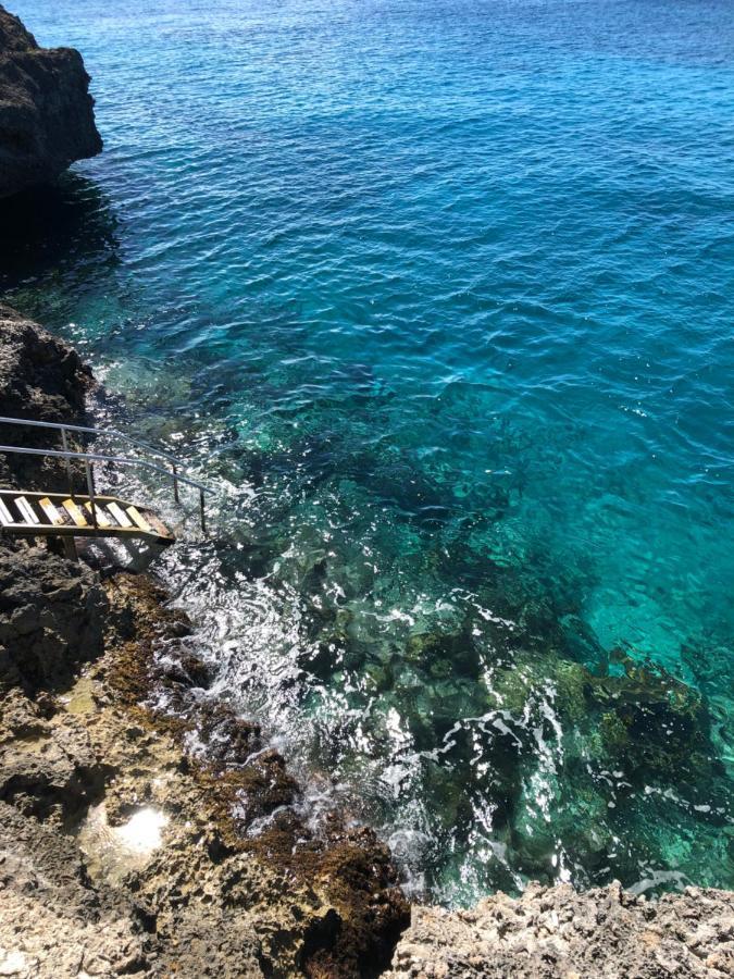 Marazul Dive Resort. 3 Bedroom Seafront House. Dive, Snorkel, Enjoy Amazing Sunsets Westpunt Екстериор снимка
